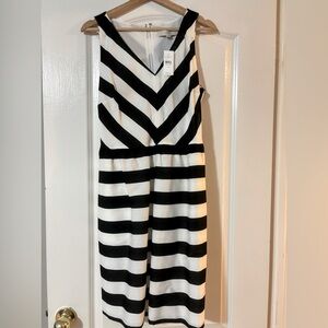 Ann Taylor Loft black and white sleeveless dress. Size 12. Never worn (with tag)